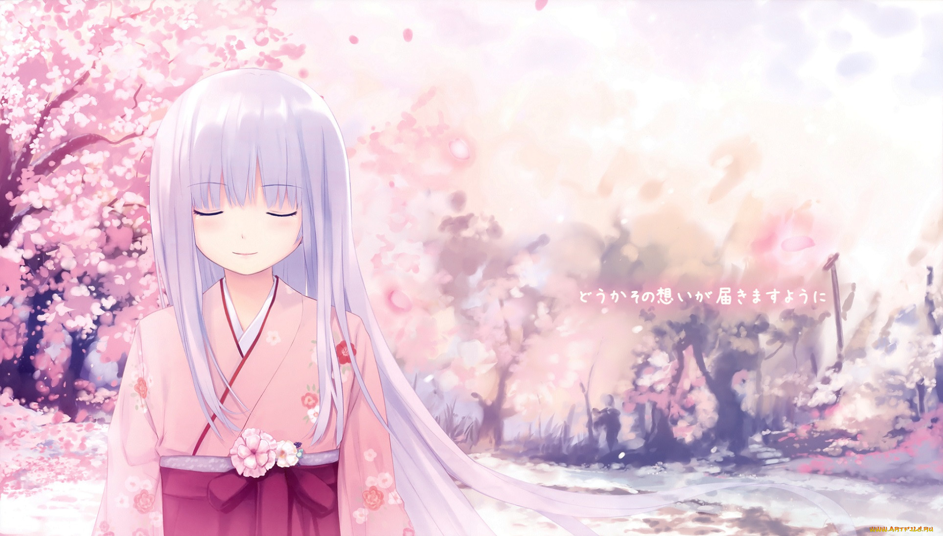 , unknown,  , , , , , coffee-kizoku
